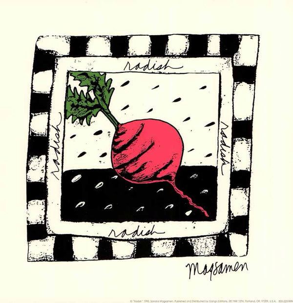 Radish by Sandra Magsamen - 13 X 13 Inches (Art Print)