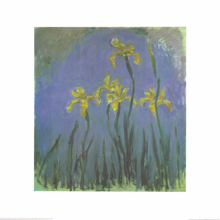 Les Iris Jaunes, 1918-1925 by Claude Monet - 27 X 27 Inches (Watercolour / Aquarelle)