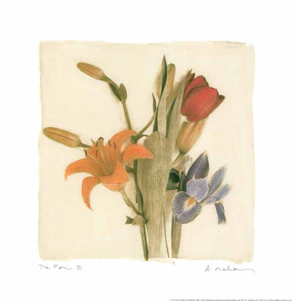 Tre Fiori III, 2000 by Amy Mellous - 12 X 12 Inches (Art Print)