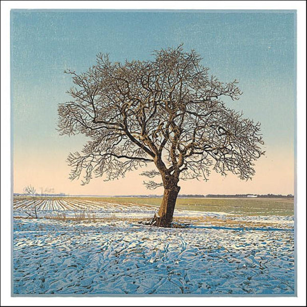 The single oak tree by Siemen Dijkstra - 6 X 6 Inches (Greeting Card)