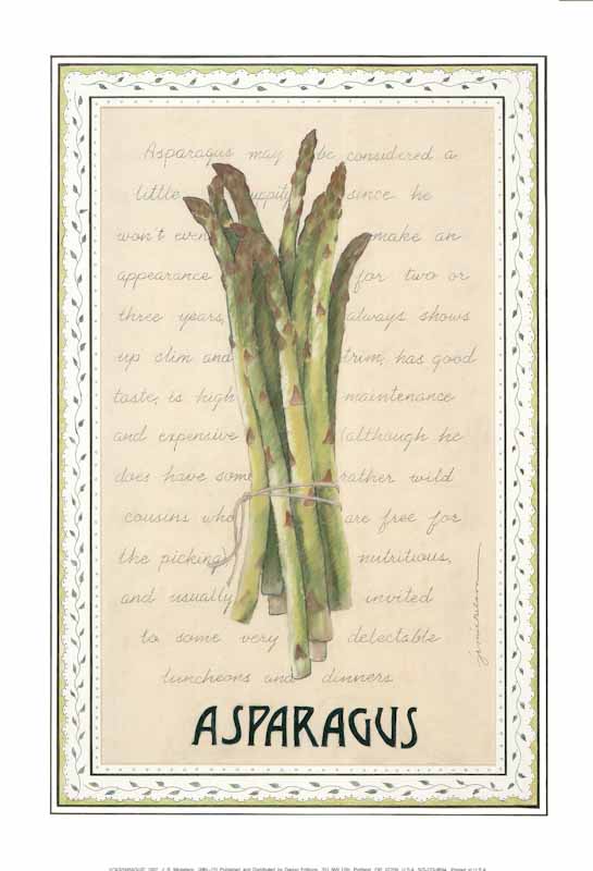 Asparagus, 1997 by J. R. Mickelson - 12 X 17 Inches (Art Print)