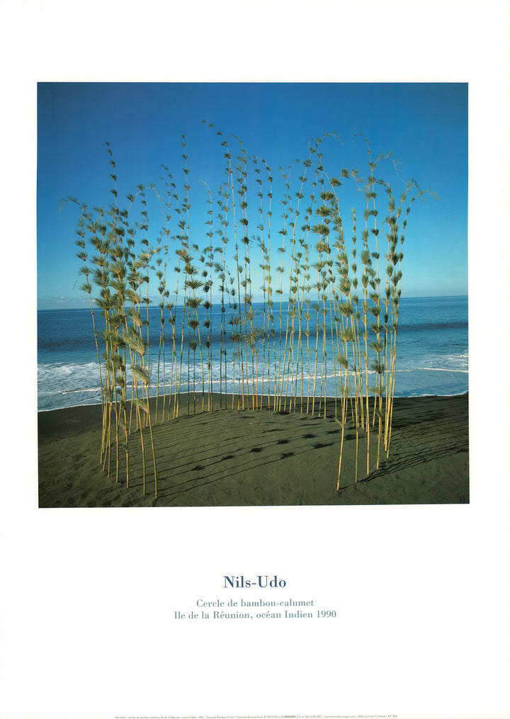 Calumet Bamboo Circle, 1990 by Nils-Udo - 20 X 28 Inches (Art Print)