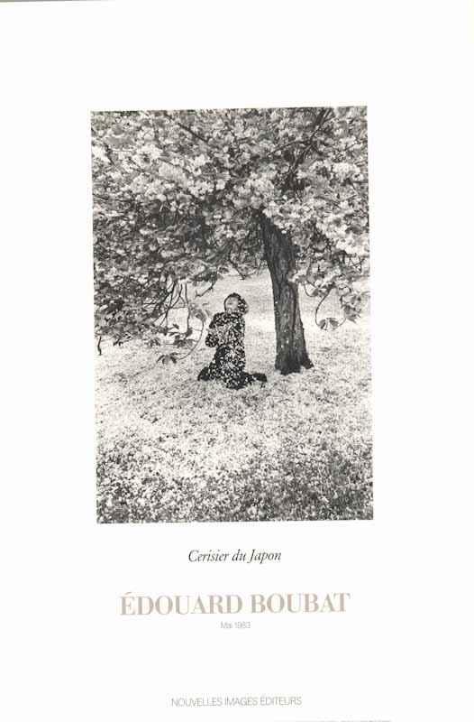 Cerisier du Japon, Mai 1983 by Edouard Boubat - 22 X 32 Inches (Art Print)