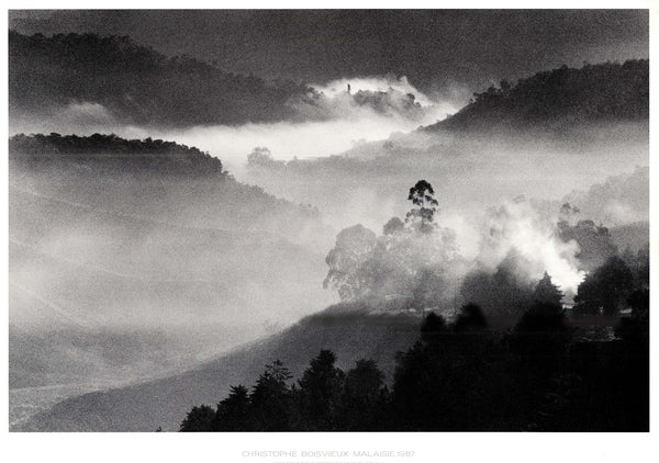 Cameron High Lands - Malaysia, 1987 by Christophe Boisvieux - 34 X 47 Inches (Art Print)