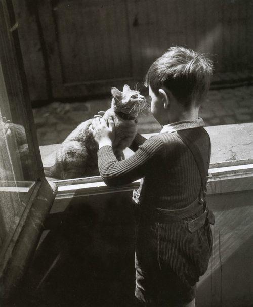 The caretaker's Cat, 1947 by Willy Ronis - 16 X 20 Inches (Art Print)