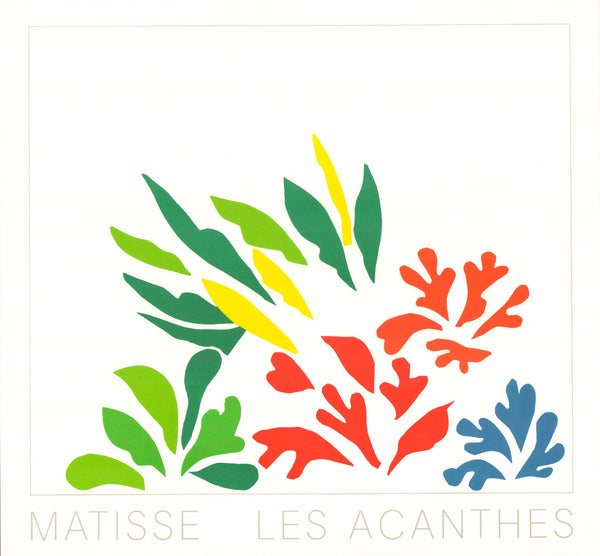 Acanthus, 1953 by Henri Matisse - 34 X 36 Inches (Lithographie)