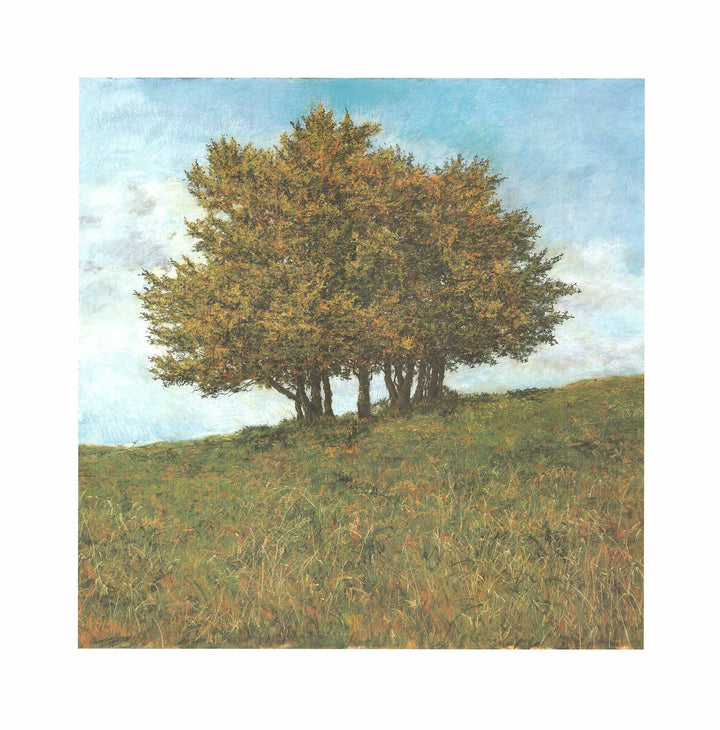 Beech Trees at the Edge of the Mon d'Or, 1984 by Charles Belle - 27 X 27 Inches (Art Print)
