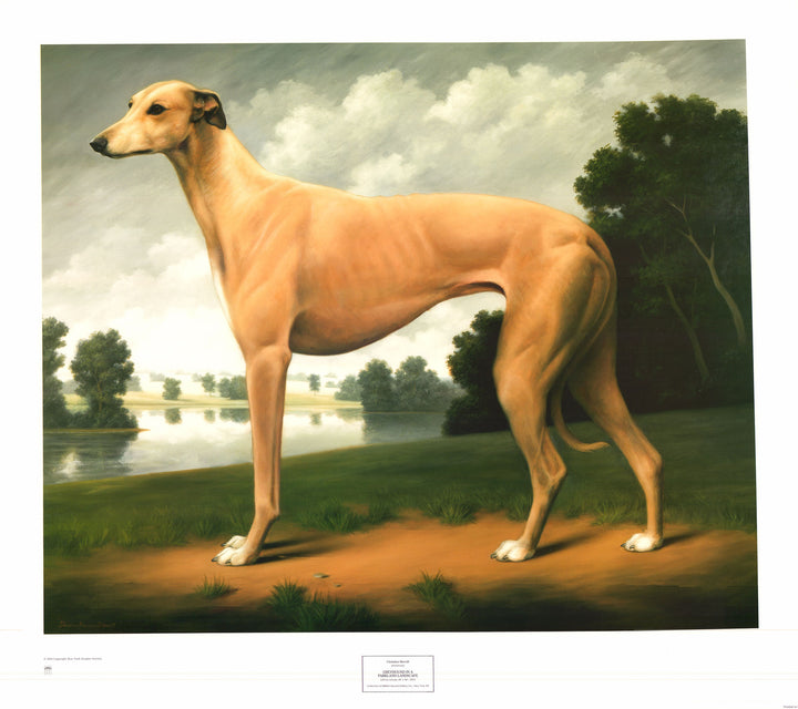 Greyhound in a Parkland Landscape, 1991 by Christine Merrill - 30 X 34 Inches (Art Print)