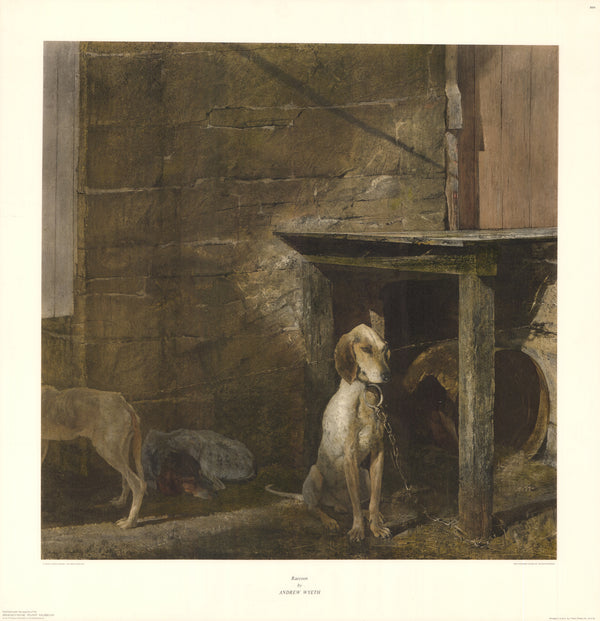 Raccoon 1958 by Andrew Wyeth - 33 X 34 Inches (Offset Lithograph)