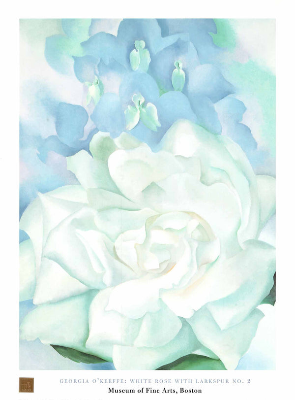 White Rose with Larkspur No. 2, 1927 by Georgia O'Keeffe - 24 X 32 Inches (Art Print)