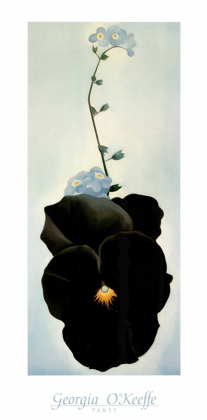 Pansy, 1926 by Georgia O'Keeffe - 18 X 36 Inches (Art Print)