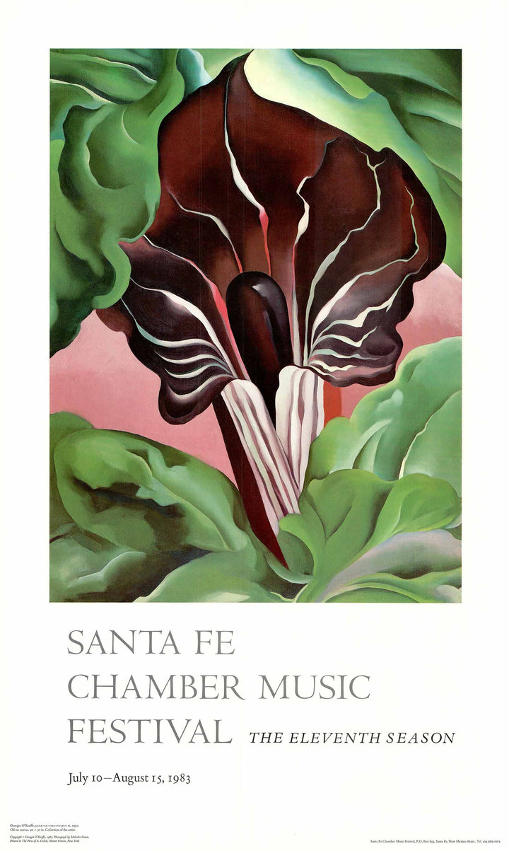 Jack in the Pulpit II, 1930 by Georgia O'Keeffe - 24 X 39 Inches (Art Print)