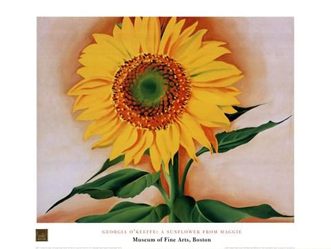 A Sunflower from Maggie, 1937 by Georgia O'Keeffe - 24 X 32 Inches (Art Print)