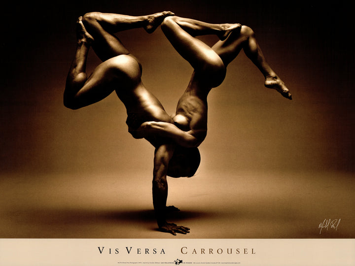 Vis Versa (Carrousel) by Michel Pilon - 18 X 24 Inches (Art Print)