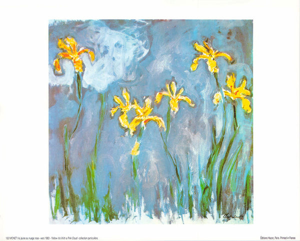 Yellow Iris with a Pink Cloud by Claude Monet - 10 X 12 Inches (Art Print)