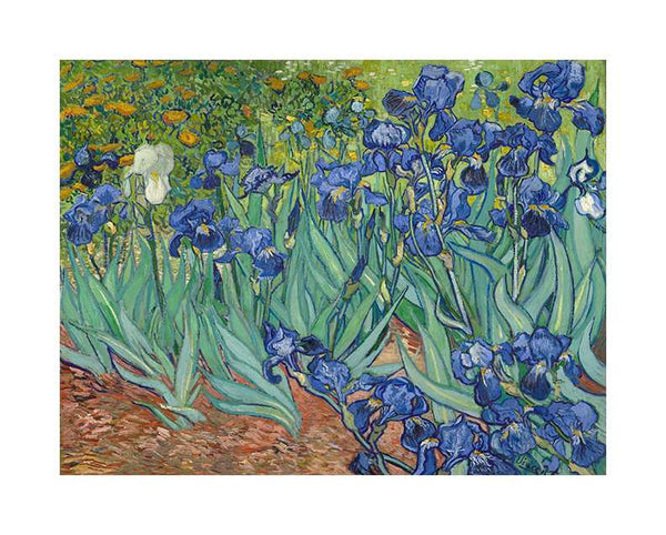 Irises, 1889 by Vincent Van Gogh - 10 X 12 Inches (Art Print)