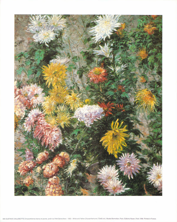 White and Yellow Chrysanthemums, 1893 by Gustave Caillebotte - 10 X 12 Inches (Art Print)