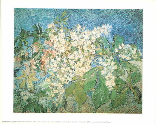 Branches of Chestnut Trees in Blossom, 1890 by Vincent Van Gogh - 10 X 12 Inches (Art Print)