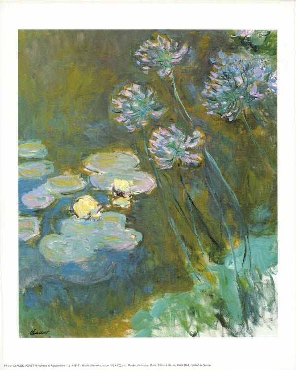 Water Lilies, 1914-1917 by Claude Monet - 10 X 12 Inches (Art Print)