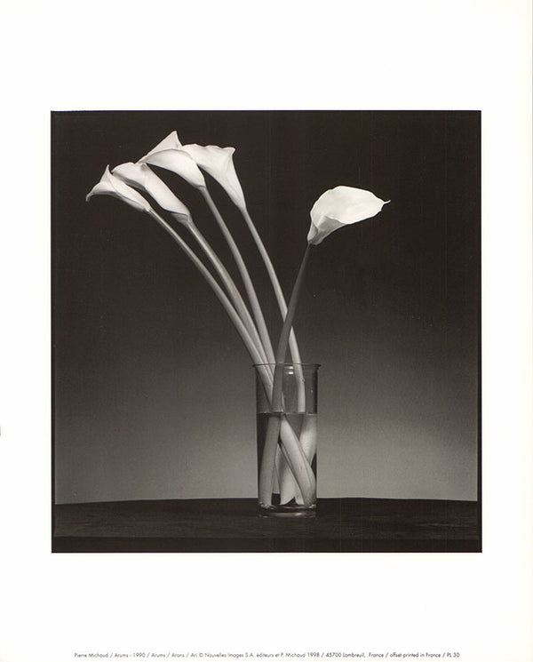 Arums - 1990 by Pierre Michaud  - 10 X 12 Inches (Art Print)Arums - 1990 by Pierre Michaud  - 10 X 12 Inches (Art Print)
