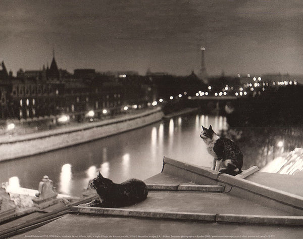 Paris, cats at night by Robert Doisneau - 10 X 12 Inches (Art Print)