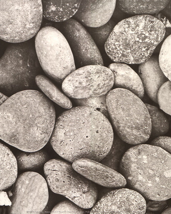 Pebbles by Botanica - 10 X 12 Inches (Art Print)