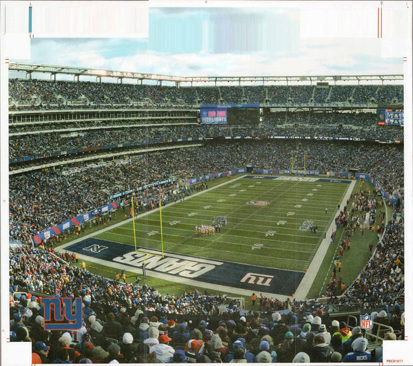 Giants Stadium - 22 X 28 Inches (Canvas Roll or Stretched ready to hang)