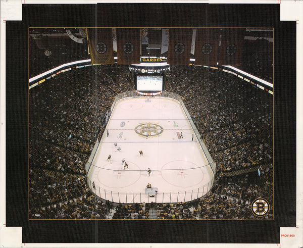 Boston Arena - 22 X 28 Inches (Canvas Roll or Stretched ready to hang)
