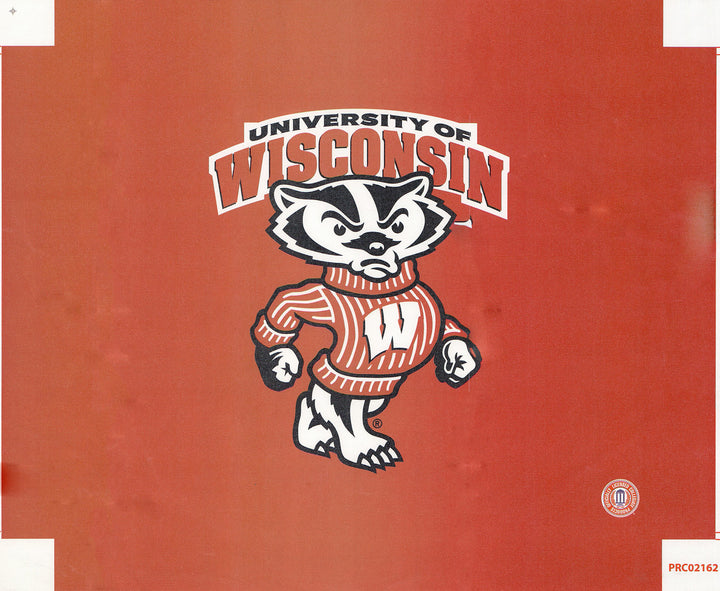 Wisconsin University - 16 X 20 Inches (Canvas Roll or Stretched ready to hang)
