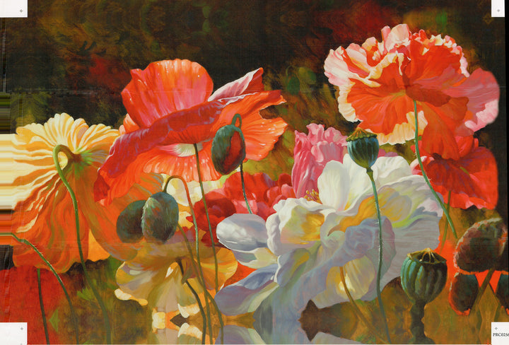 Poppies in Sunshine by Leon Roulette - 24 X 36 Inches (Canvas Roll or Stretched ready to hang)