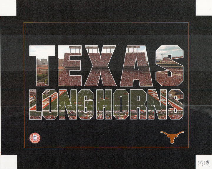 Texas Longhorns - 16 X 20 Inches (Canvas Roll or Stretched ready to hang)
