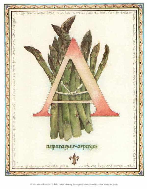 Asparagus by Martha Robinson - 8 X 10 Inches (Art Print)