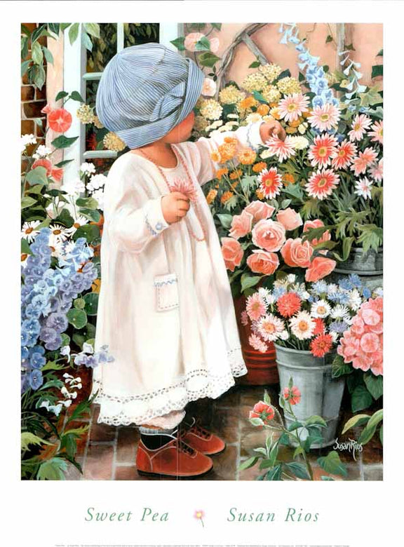 Sweet Pea by Susan Rios - 18 X 24 Inches (Art Print) – Artistica Fine Art