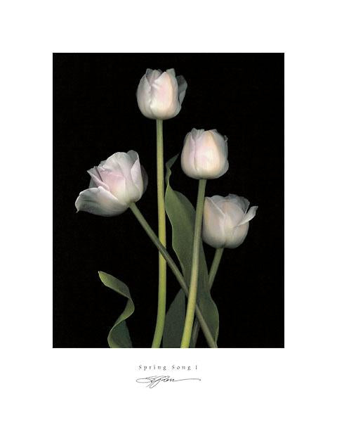 Spring Song I by S. G. Rose - 16 X 20 (Art Print)