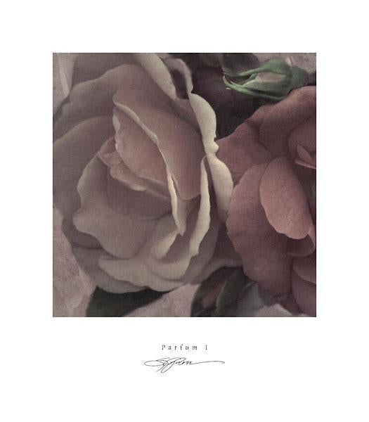 Parfum I by S. G. Rose - 14 X 16 Inches (Art Print)