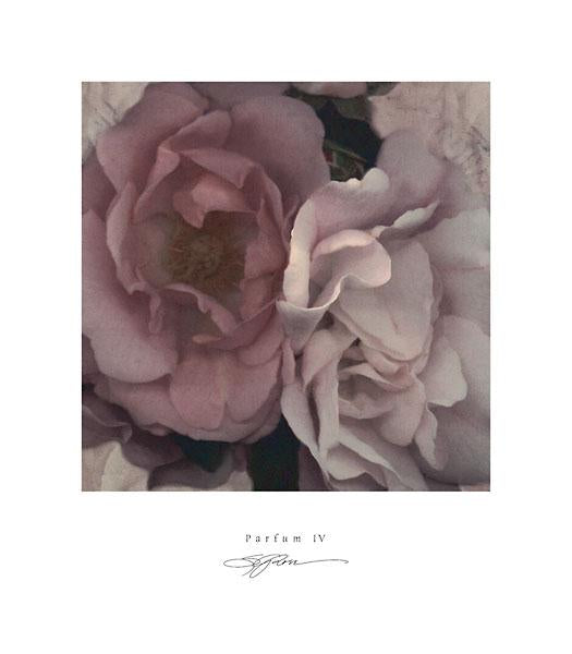 Parfum IV by S. G. Rose - 14 X 16 Inches (Art Print)
