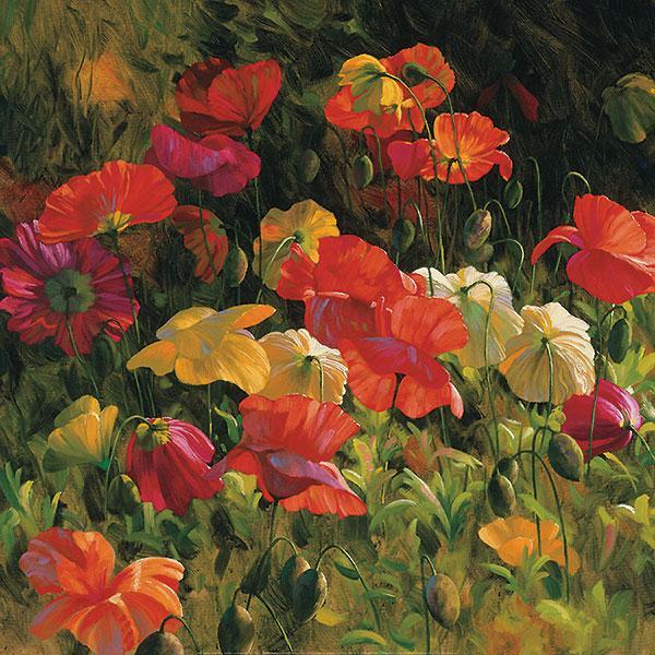Iceland Poppies by Leon Roulette - 30 X 30 Inches (Art Print)
