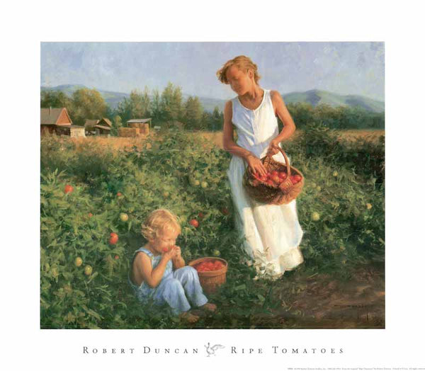 Ripe Tomatoes by Robert Duncan - 18 X 20 Inches (Art Print)