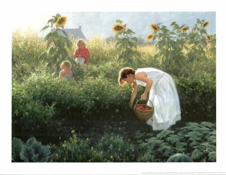 Under The Sunflowers by Robert Duncan - 14 X 18 Inches (Art Print)