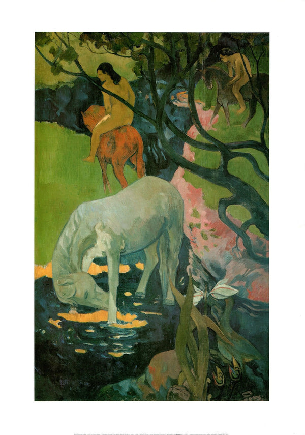 The White Horse, 1898 by Paul Gauguin - 20 X 28 Inches (Art Print)