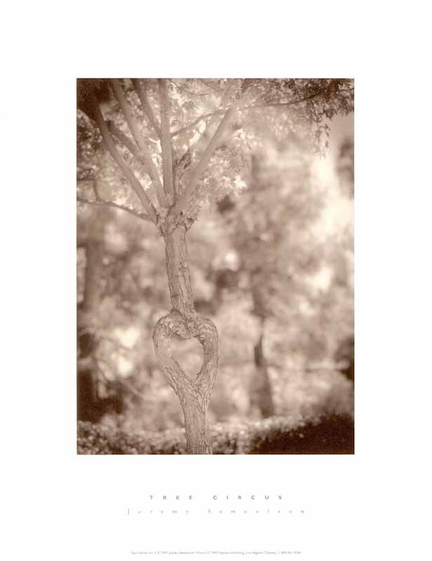 Tree Circus I by Jeremy Samuelson - 11 X 14 Inches (Art Print)