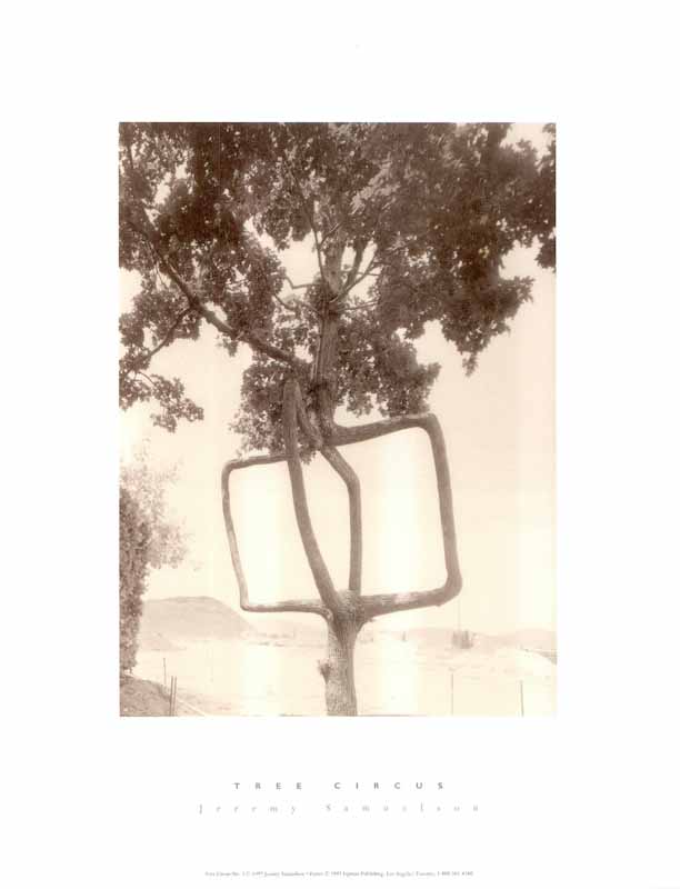 Tree Circus III by Jeremy Samuelson - 11 X 14 Inches (Art Print)