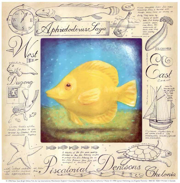 Bright Yellow Fish by Peter Seal - 12 X 12 Inches (Art Print)