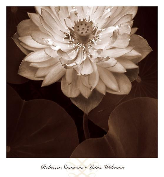 Lotus Welcome by Rebecca Swanson - 13 X 14 Inches (Art Print)