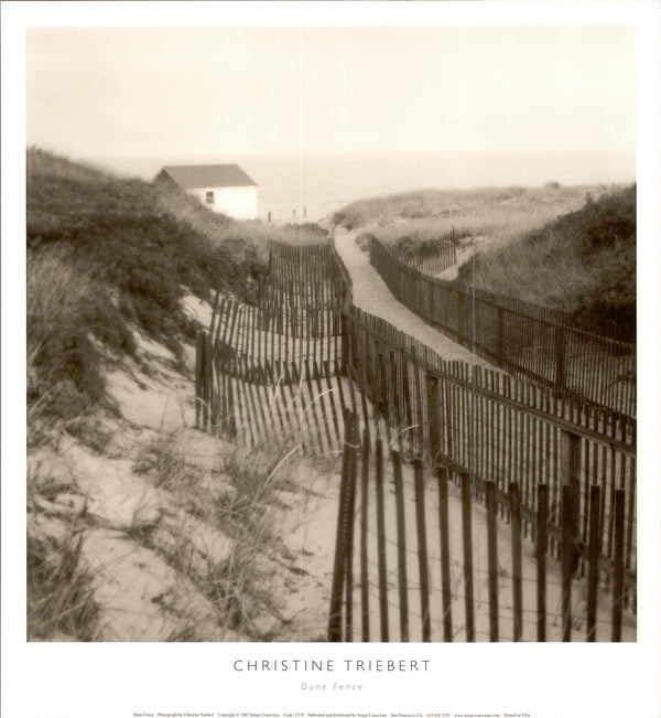 Dune Fence by Christine Triebert - 13 X 14 Inches (Art Print)