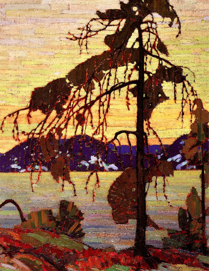The Jack Pine, 1916-1917 by Tom Thomson - 5 X 7" (Greeting Card)