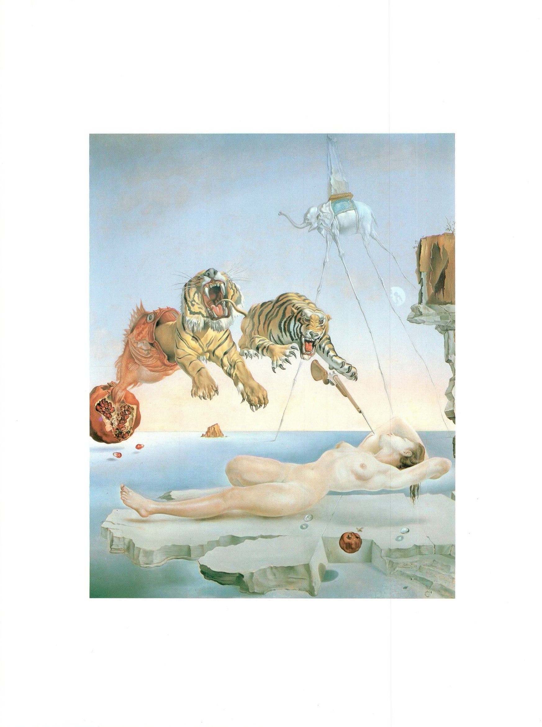 Reve Cause par le Vol D'une Abeille by Salvador Dali-12X16''(Art Print ...