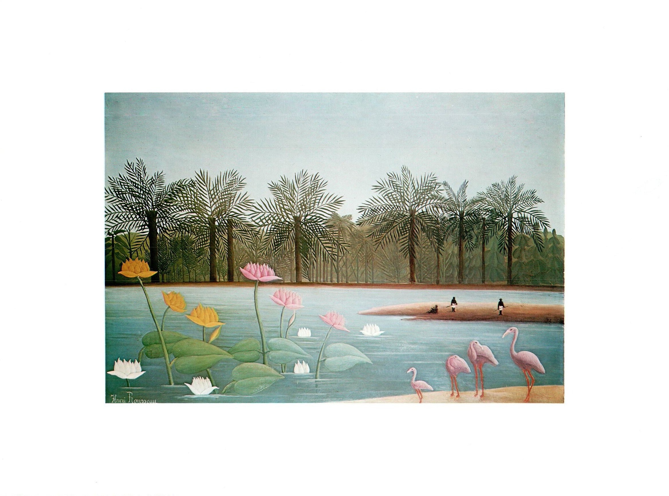 Henri Roussea Roses Les Flamants Roses, 1907 by Henri Rousseau -12 X 16'' (Art Print ...