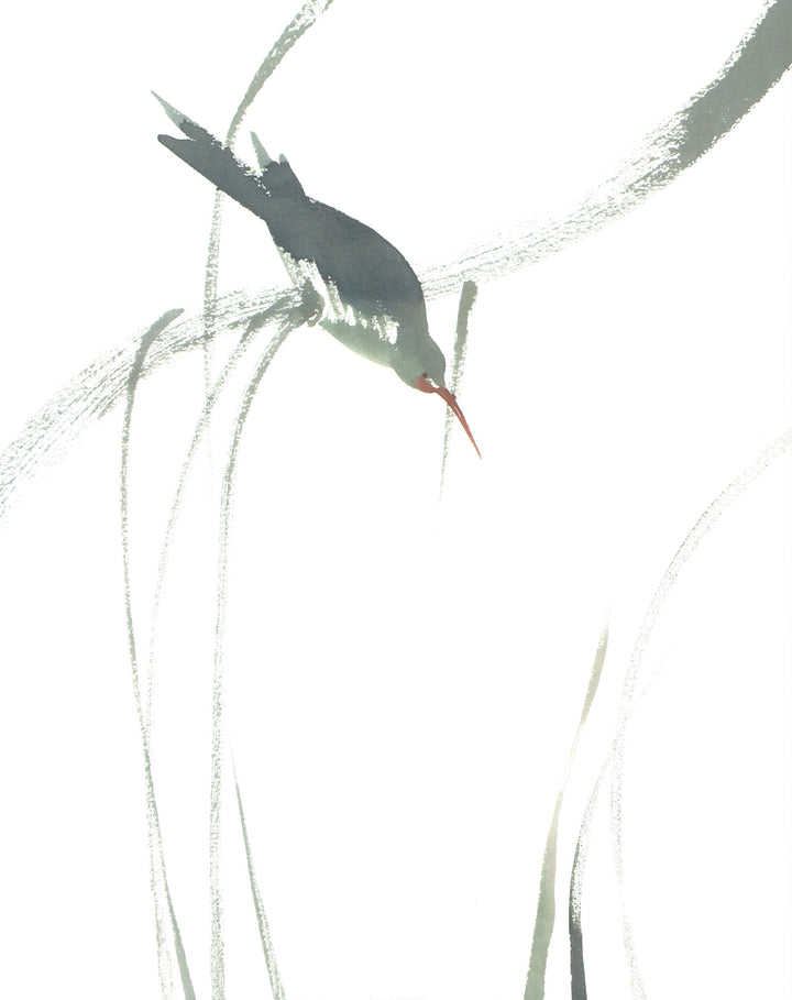 Oiseaux perché by Aurore de la Morinerie - 16 X 20 Inches (Art Print)