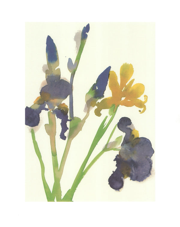 Iris, 2001 by Aurore de la Morinerie - 16 X 20 Inches (Art Print)